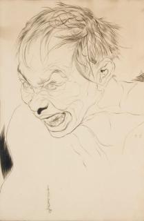 Nicolas Sternberg - Homme en colère