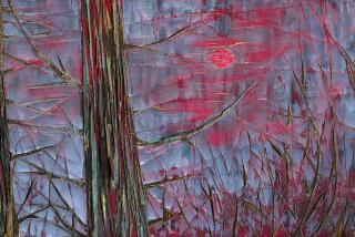 Nicole Bianchet - Howling in a Hollow Tree