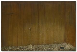 Nigel Cooke - Aviary