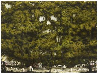 Nigel Cooke - Silva Morosa