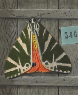 Niklaus Stoecklin - Nachtfalter (Euplagia Quadripunctaria), 1972