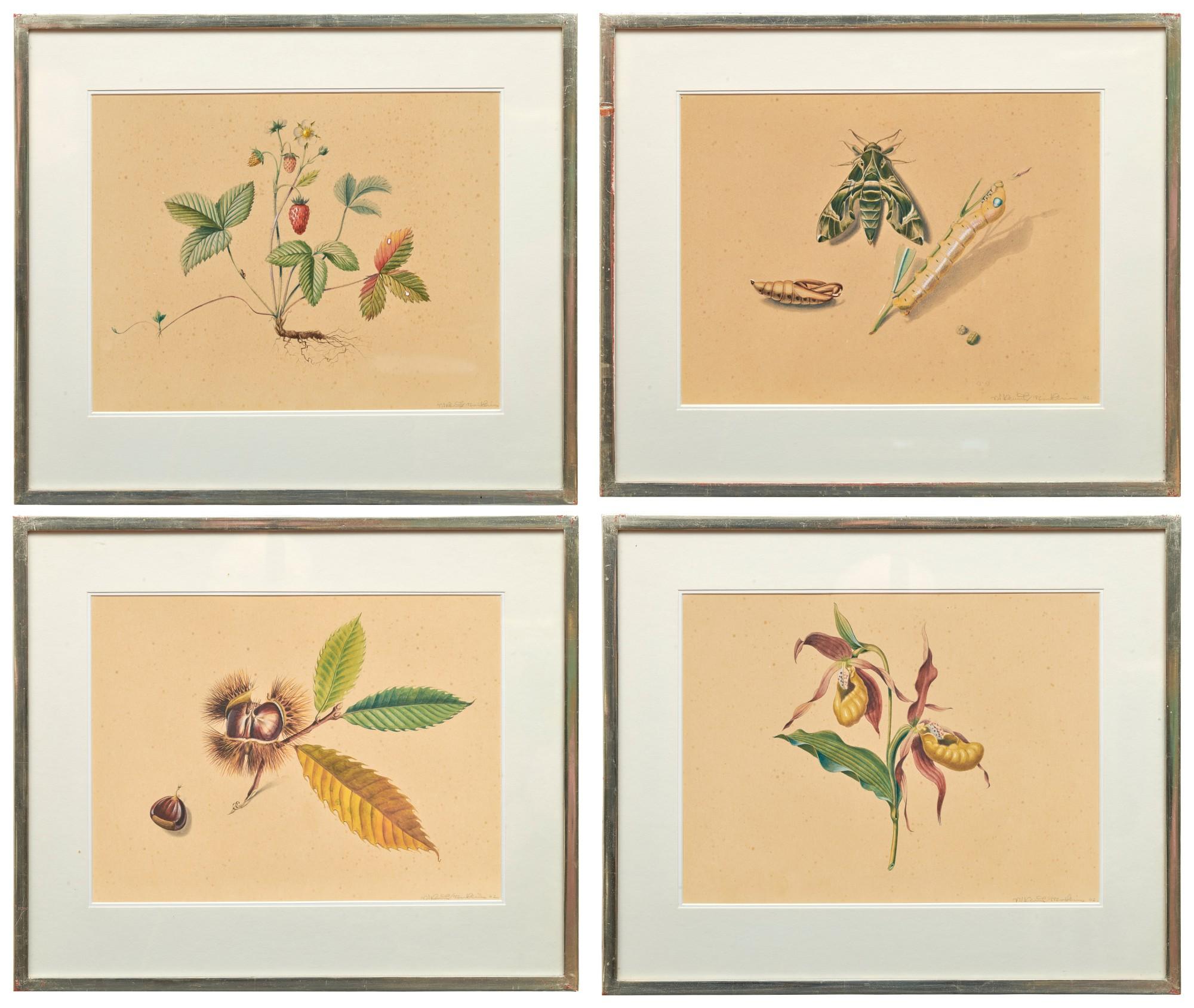 Niklaus Stoecklin - Schönheiten der Natur - Erdbeere, Kastanie, Orchidee, Raupe, 1942
