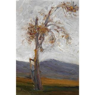 Nikolaos Lytras - Tree In A Landscape