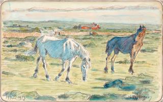 Nils Kreuger - Horses on Öland