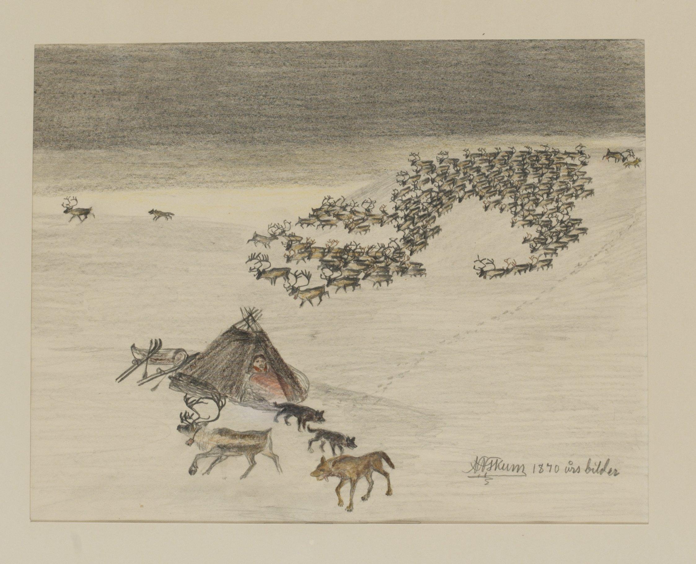 Nils Nilsson Skum - \