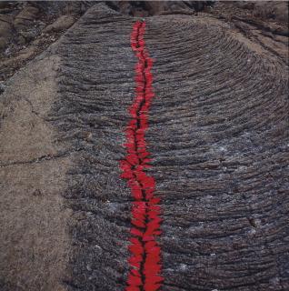 Nils Udo - Fissure dans la lave, pétales dites \