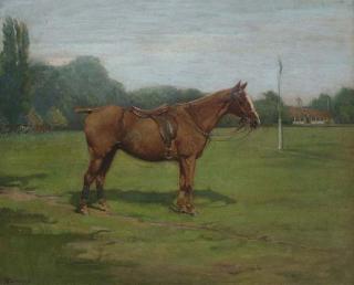 Nina Colmore - A Chestnut Polo Pony, Monte Carlo, In A Playing Field