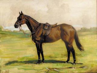 Nina Colmore - Meg, a liver chestnut pony