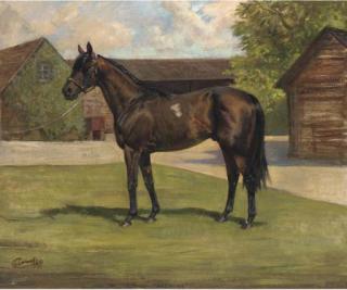 Nina Colmore - Reliance, a bay racehorse