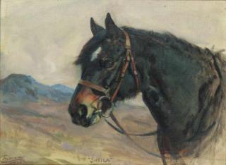 Nina Colmore - \'Sheila\'; and \'Jane\'