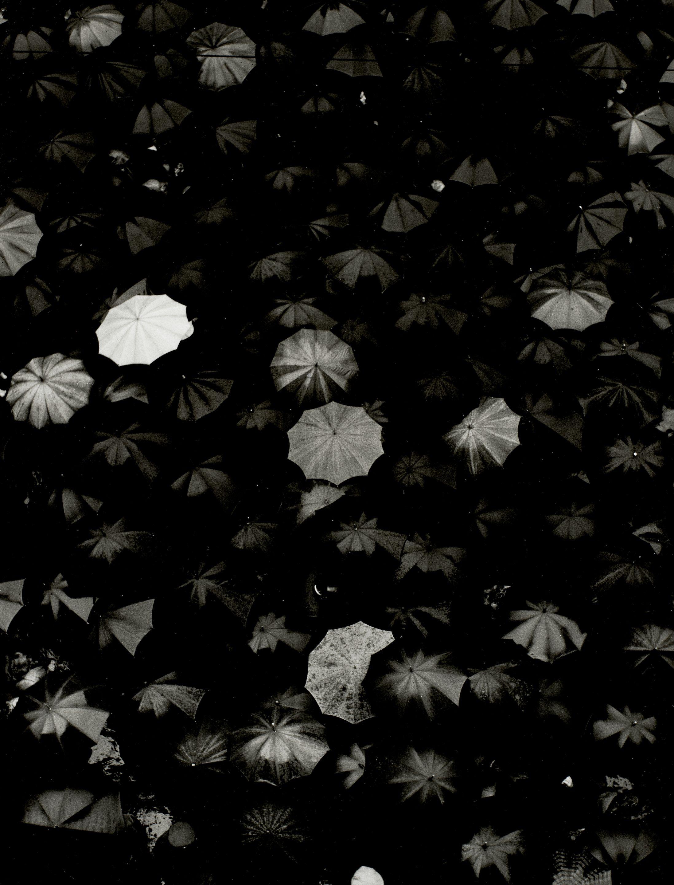 Nino Migliori - Albino (Umbrellas)