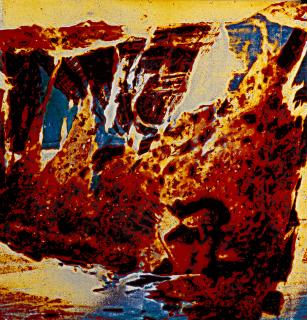 Nino Migliori - Leonessa, Trasfigurazione 2003