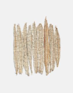 Nnenna Okore - Dead Wood