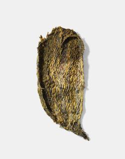 Nnenna Okore - Shelter