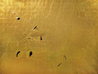 Nobuo Sekine - PHASE CONCEPTION: FIELD OF LIGHT