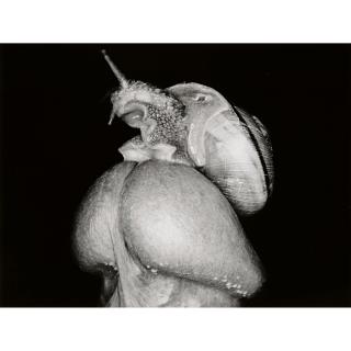 Nobuyoshi Araki - Erotos