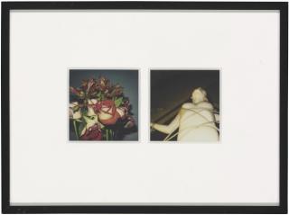 Nobuyoshi Araki - Flower; Pola Eros