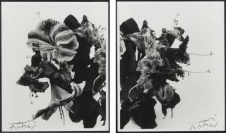 Nobuyoshi Araki - From Close To Range [Diptych]
