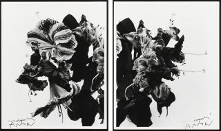 Nobuyoshi Araki - From Close To Range [Diptych]