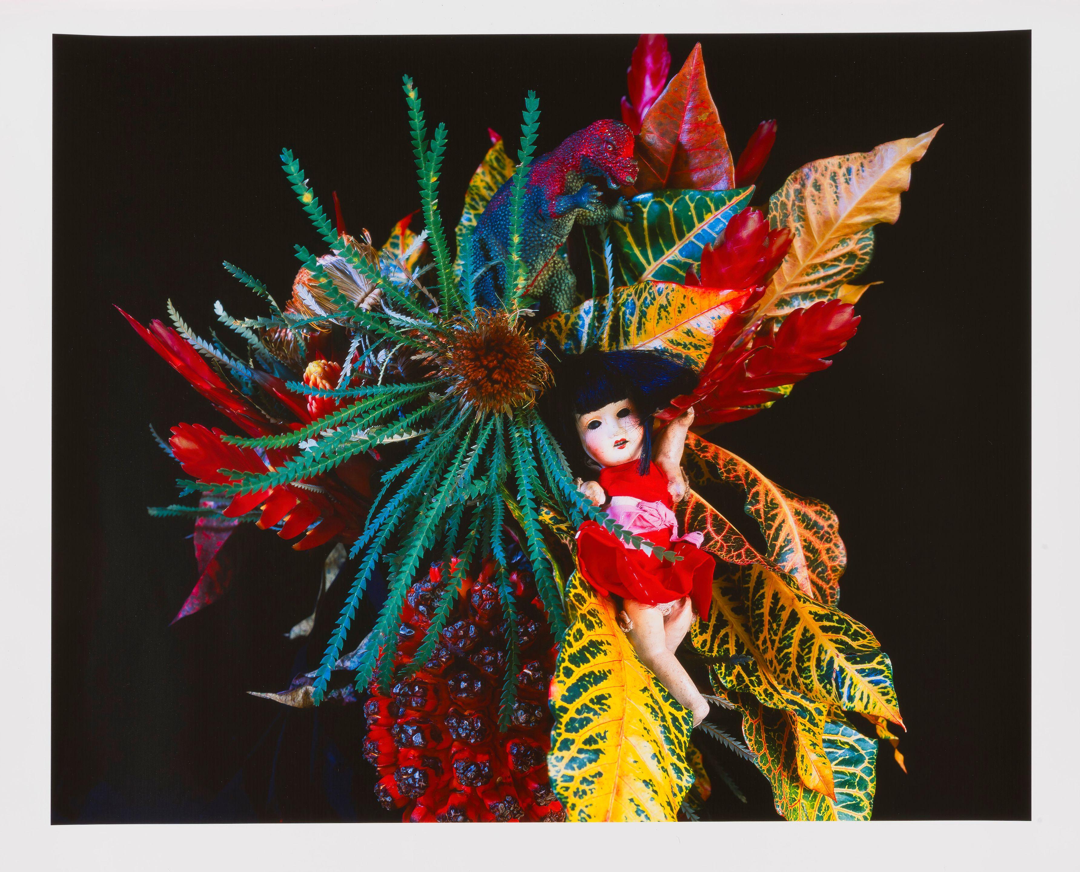 Nobuyoshi Araki - Monstrous paradise, 2015