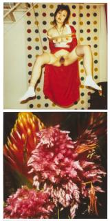 Nobuyoshi Araki - Pola Eros; and, Flower, 2010-2012 (Two Works)