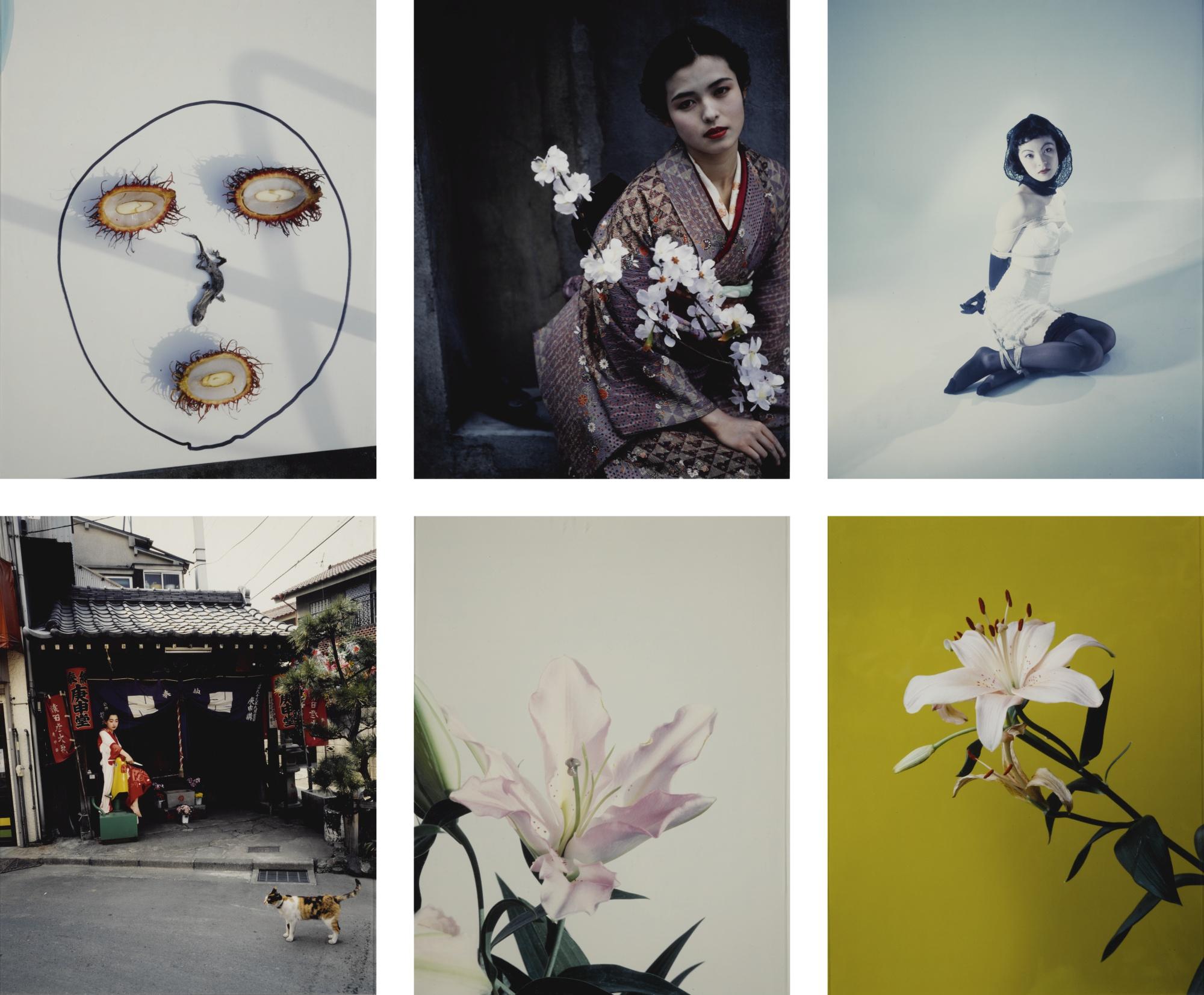 Nobuyoshi Araki - Selected Images From Colorscapes