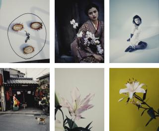 Nobuyoshi Araki - Selected Images From Colorscapes