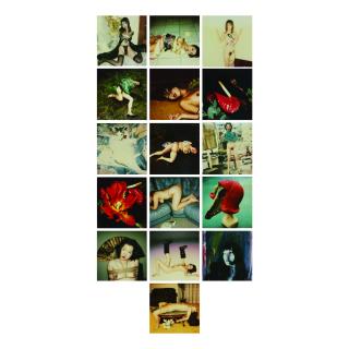 Nobuyoshi Araki - Selected Images From Pola Eros