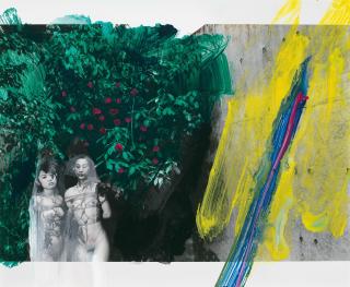 Nobuyoshi Araki - Shiki-in (Color Eros)