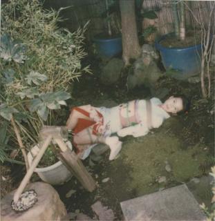 Nobuyoshi Araki - Three Images From \'Pola Eros\', 2004