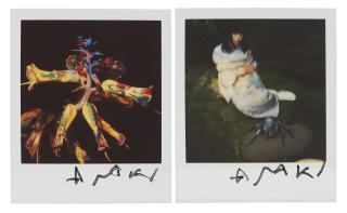 Nobuyoshi Araki - Untitled; & Untitled