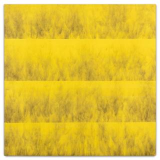 Noël Dolla - Silence de la Fumée