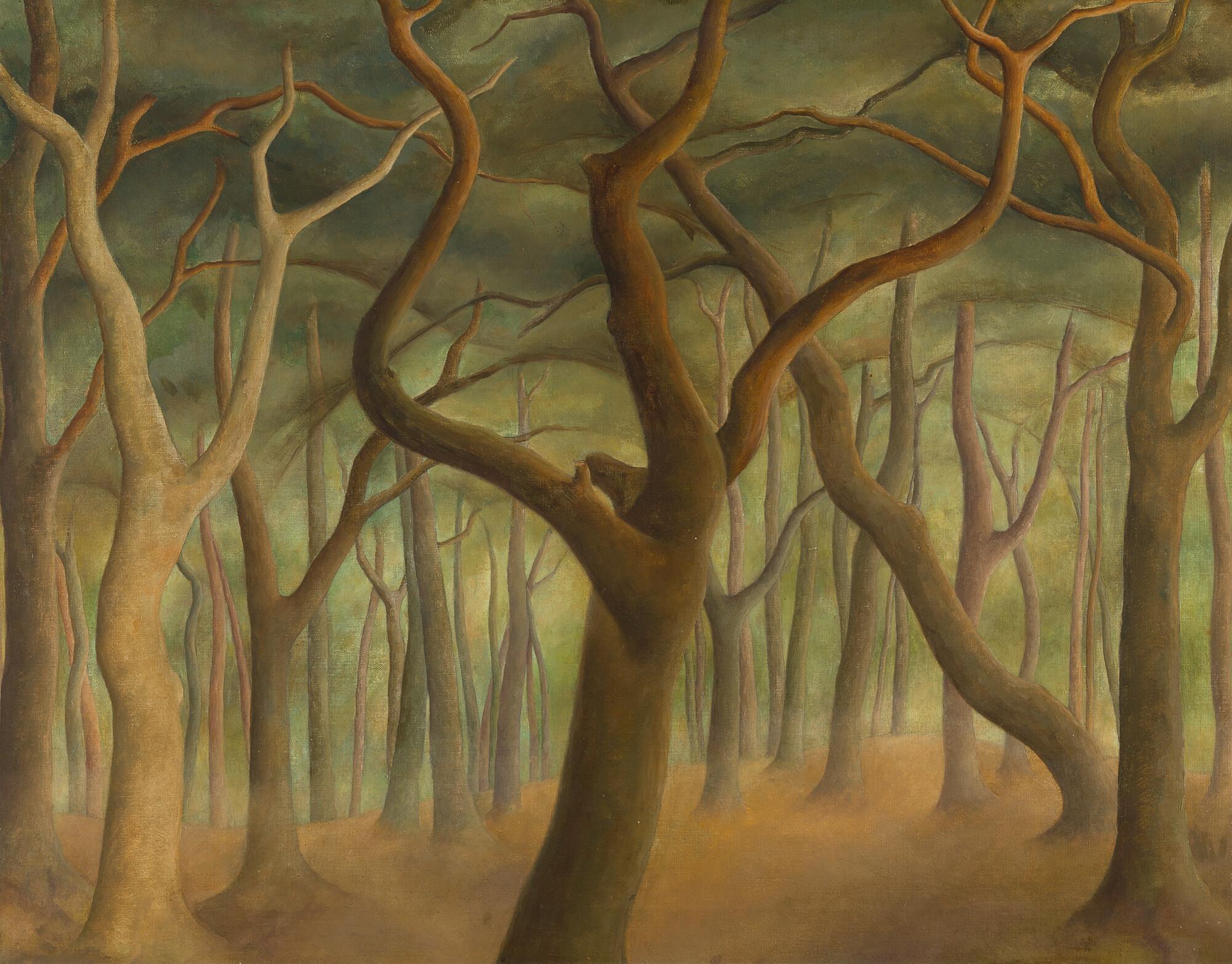 Nola Hatterman - Wald.