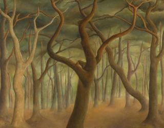 Nola Hatterman - Wald.