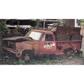 Nona Garcia - In The Garden