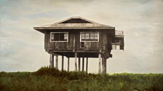 Nona Garcia - Planted Landscape #1