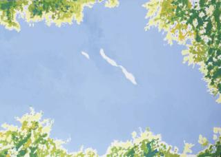 Norbert Bisky - Flieg Nicht Zo Hoch