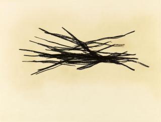 Norbert Kricke - 84/146