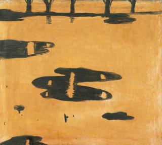 Norbert Schwontkowski - Pfützen und Lachen