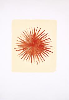 Norbert Schwontkowski - Stern.