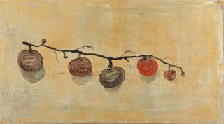 Norbert Schwontkowski - Strauchtomaten