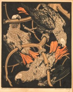 Norbertine von Bresslern-Roth - Grey Parrots