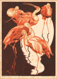 Norbertine von Bresslern-Roth - Ibises