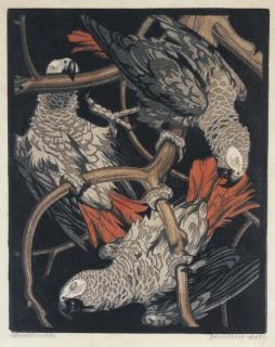 Norbertine von Bresslern-Roth - Parrots