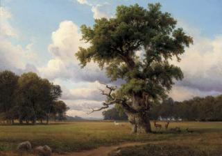 Nordahl Grove - Deer grazing in parkland