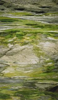 Noriko Furunishi - Untitled (Tecopa G)