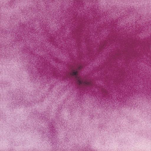 Noritoshi Hirakawa - Spring Of Mum (Kim Simons, London, 2004)