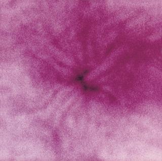 Noritoshi Hirakawa - Spring Of Mum (Kim Simons, London, 2004)