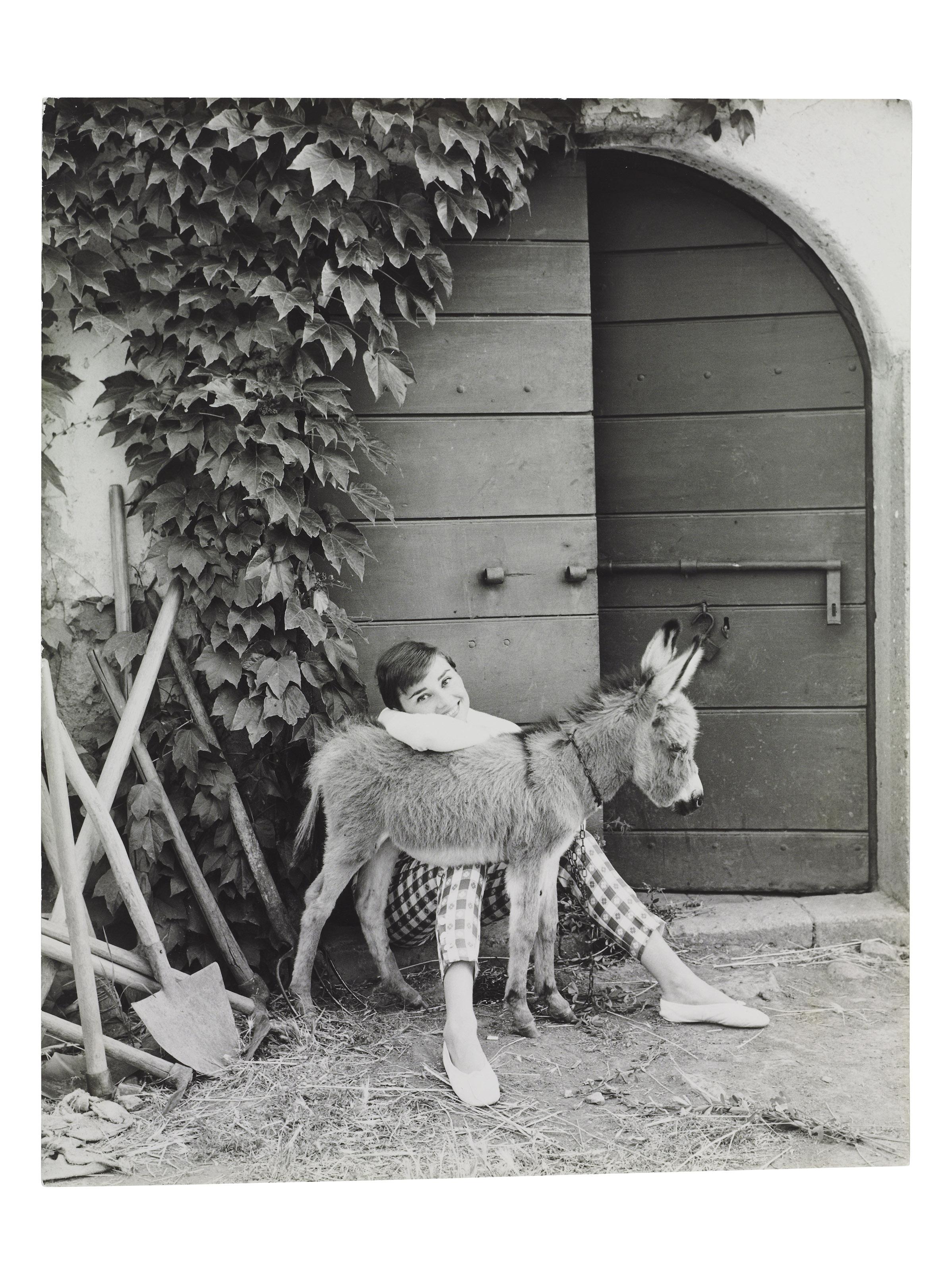 Norman Parkinson - Audrey Hepburn with Bimba the Donkey at the Villa Rolli, Cecchina, 23 June, 1955