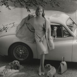 Norman Parkinson - Nena Von Schlebrügge With Dogs, Vogue, 1958